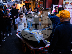 Japan Tuna Auction