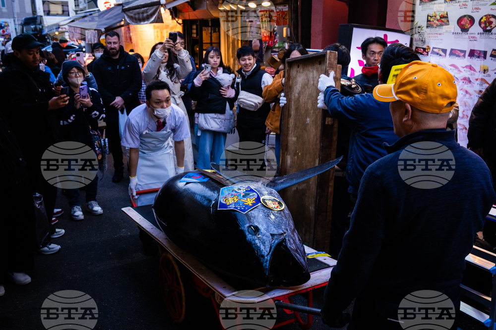 Japan Tuna Auction