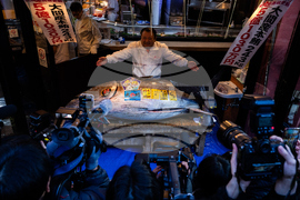 Japan Tuna Auction