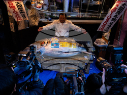 Japan Tuna Auction