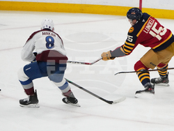 Avalanche Panthers Hockey