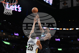 Pelicans Heat Basketball