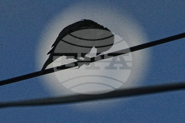 Cambodia Dailyt Life