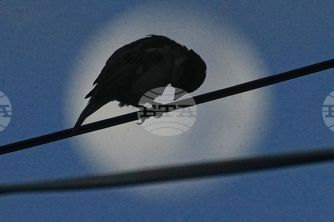 Cambodia Dailyt Life