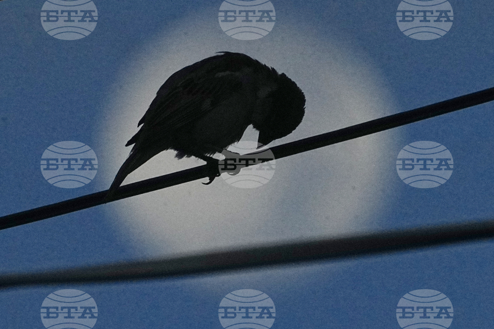 Cambodia Dailyt Life