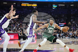 Bucks Kings Basketball