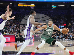 Bucks Kings Basketball