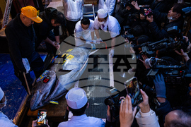 APTOPIX Japan Tuna Auction