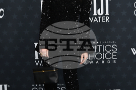 2026 Critics Choice Awards - Arrivals