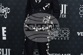 2026 Critics Choice Awards - Arrivals