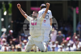 Australia England Cricket