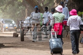 Zimbabwe Road Safety