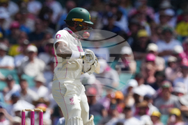 Australia England Cricket