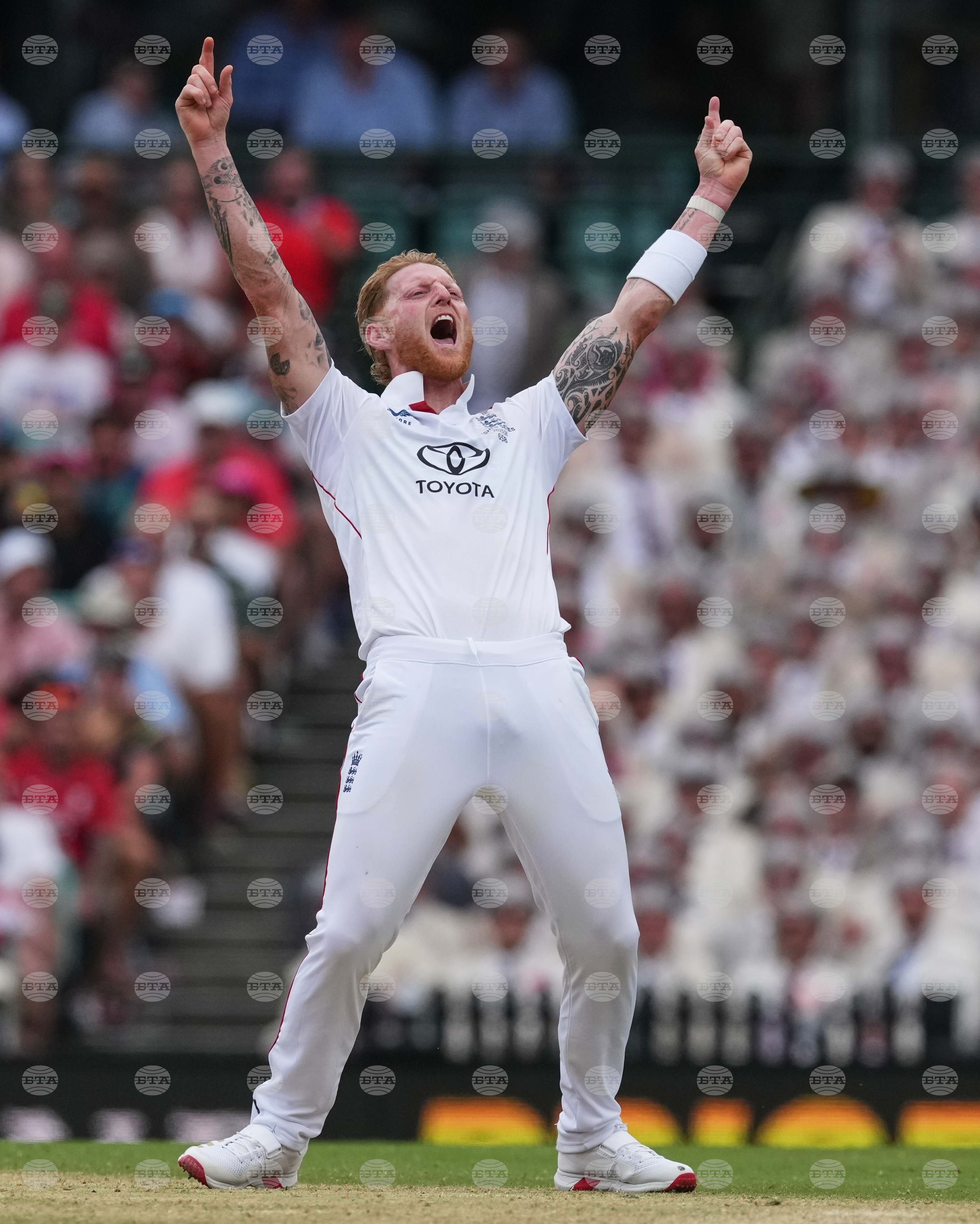 Australia England Cricket