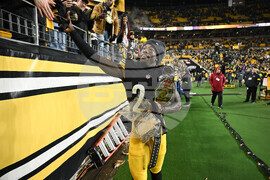 Ravens Steelers Football