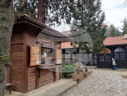 Кюстендил - лев - евро