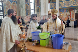 Монтана - митрополит - литургия