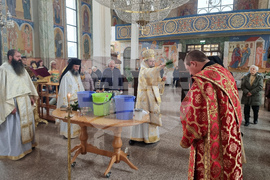 Монтана - митрополит - литургия