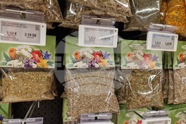 Търговище - търговия - лев - евро