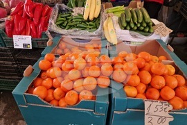 Търговище - търговия - лев - евро