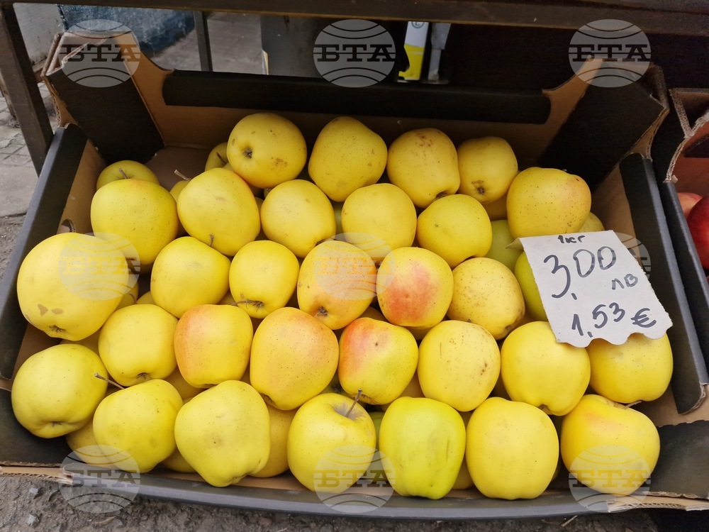 Търговище - търговия - лев - евро