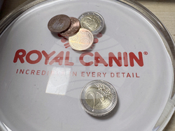 Казанлък - лев-евро