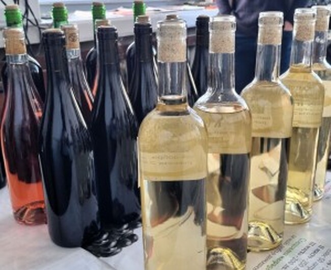 Община Асеновград: В Асеновград стартира конкурсът "Най-добро домашно вино"