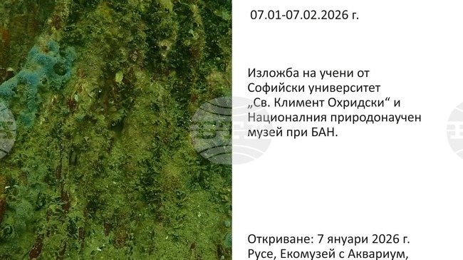 Изложбата "Подводната вкаменена гора" и книгата "Антарктида - история, природа, българските полярници" ще бъдат представени в Русе