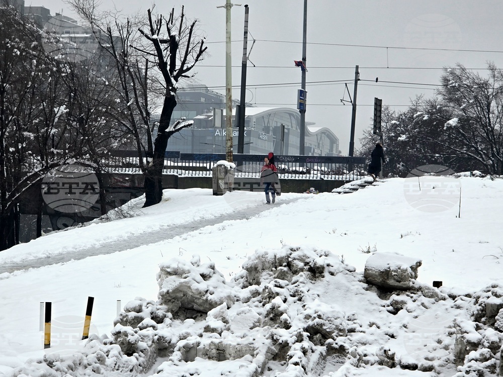 Сърбия - Белград - първи сняг