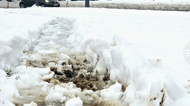 Сърбия ще посрещне Рождество Христово с нови обилни валежи от сняг, предупреждават метеоролозите 