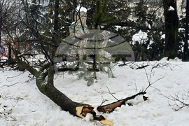 Сърбия - Белград - първи сняг