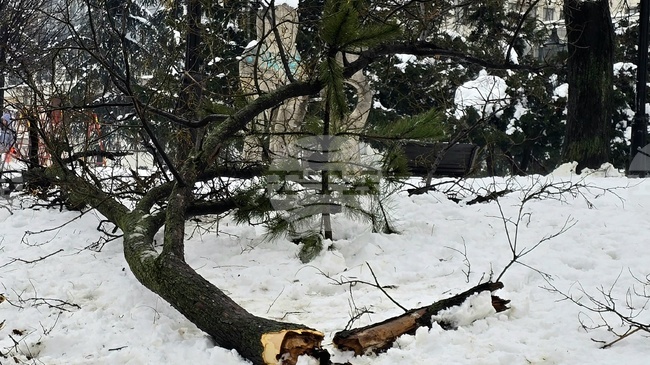 Сърбия осъмна със затрупани със сняг пътища днес, на втория ден от Коледа, а в столицата Белград спряха тролеи и влакове