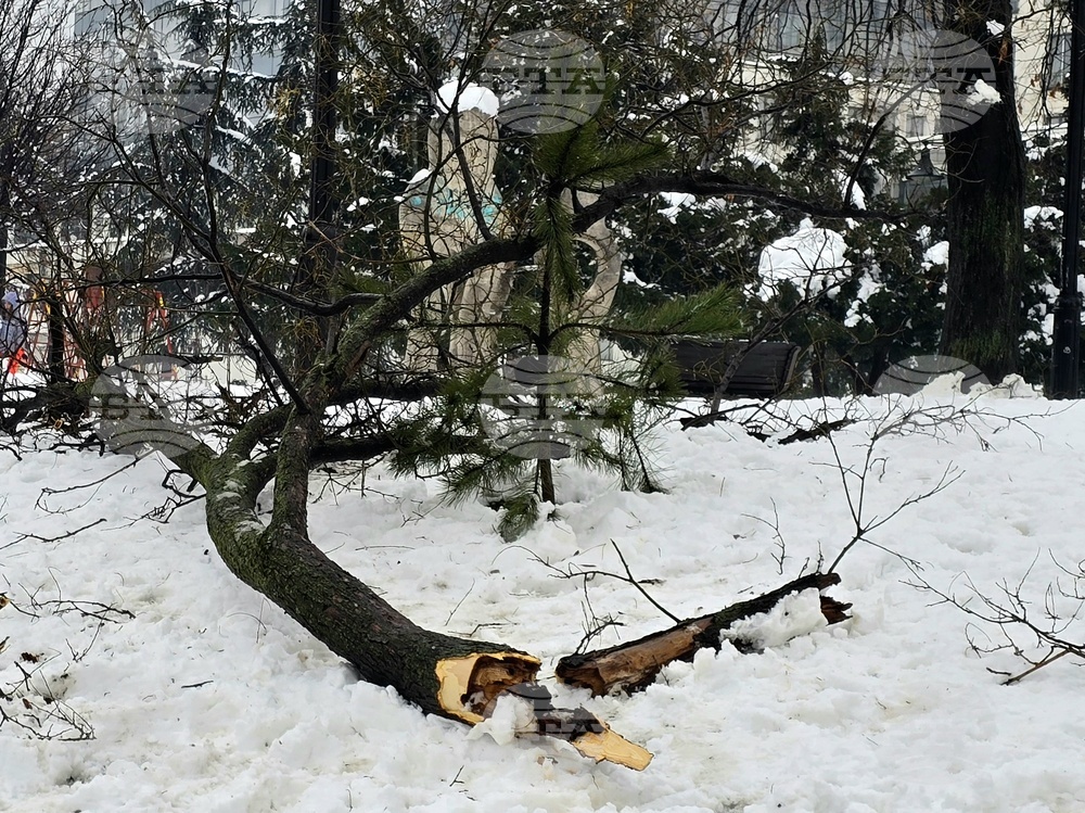 Сърбия осъмна със затрупани със сняг пътища днес, на втория ден от Коледа, а в столицата Белград спряха тролеи и влакове