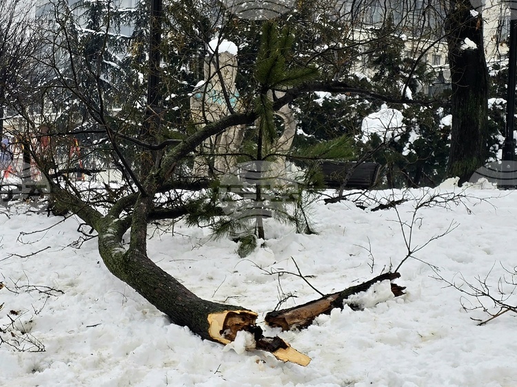 Trolleybuses, Trams Suspended in Belgrade due to Ongoing Snowstorm