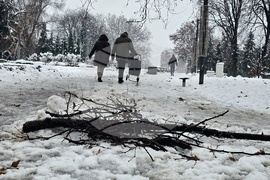 Сърбия - Белград - първи сняг