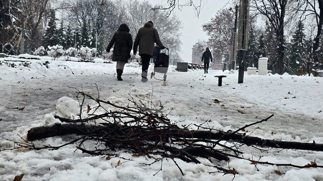 Днес е най-студеният ден в Сърбия от началото на 2026 година, на две места в страната са измерени -17 градуса