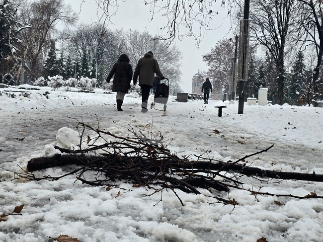 Днес е най-студеният ден в Сърбия от началото на 2026 година, на две места в страната са измерени -17 градуса