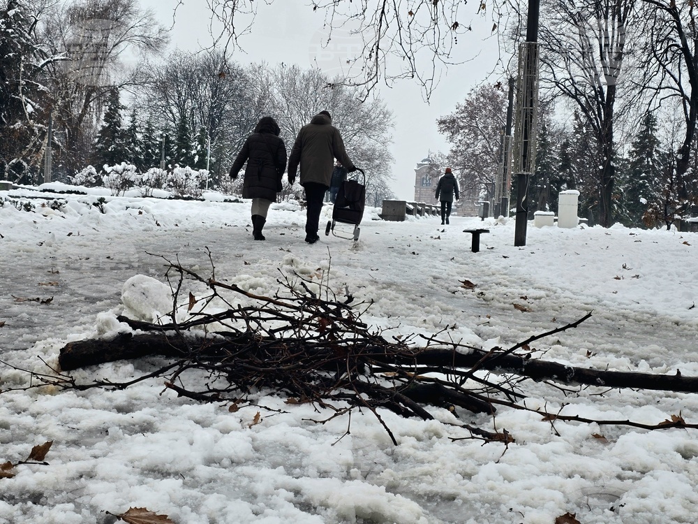 Сърбия - Белград - първи сняг