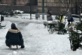 Сърбия - Белград - първи сняг