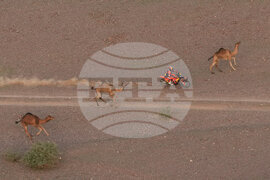 Saudi Arabia Dakar Rally