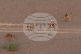 APTOPIX Saudi Arabia Dakar Rally
