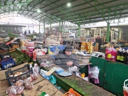 Враца - проверка - евро