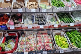 Враца - проверка - евро