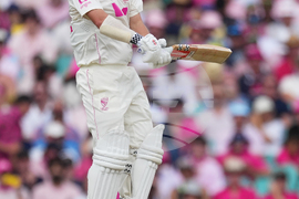 Australia England Cricket