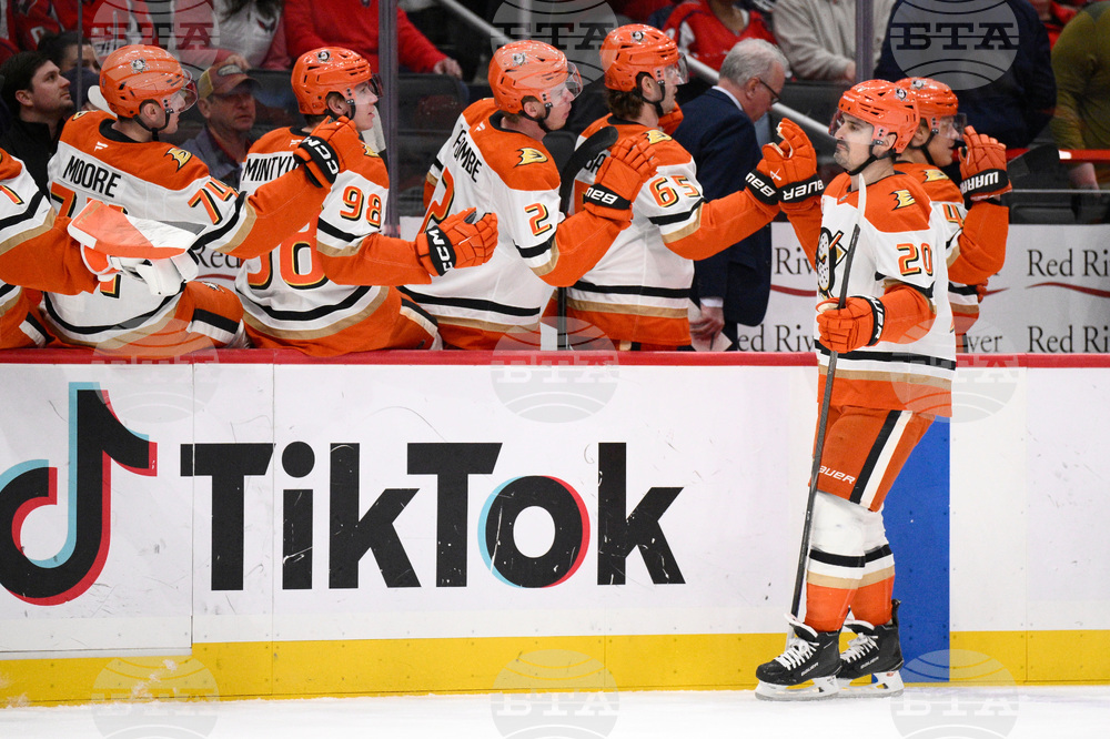 Ducks Capitals Hockey