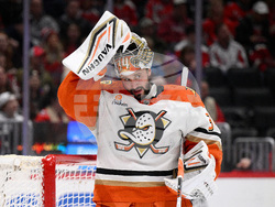 Ducks Capitals Hockey