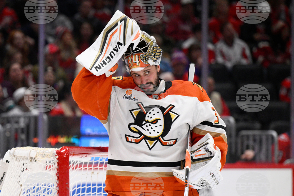 Ducks Capitals Hockey