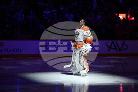 Ducks Capitals Hockey