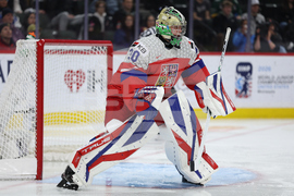 World Juniors Sweden Czechia Hockey