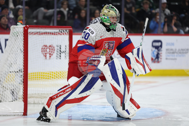 World Juniors Sweden Czechia Hockey